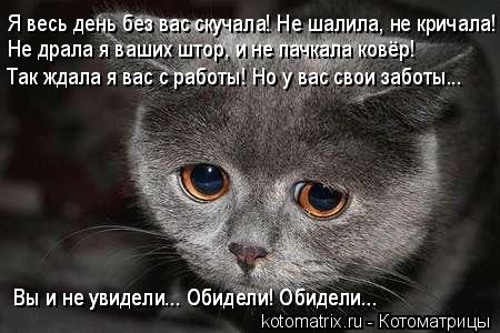 ���������� ��� ����� ������� ������� �� microsoft sql 2005