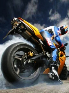 ������� ms project
