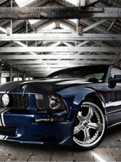 delphi ���������������� �� ����� �������� ������ ������� ��� ����� �������