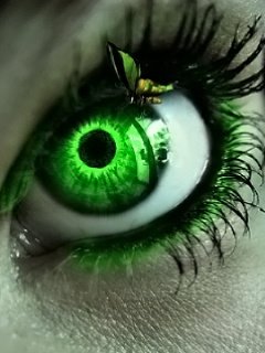 ��� ����� ������� ������ ���������?